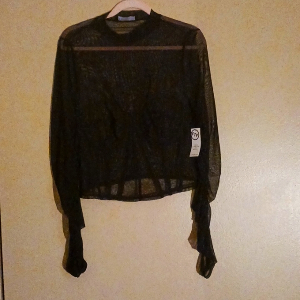Sheer fitted blouse